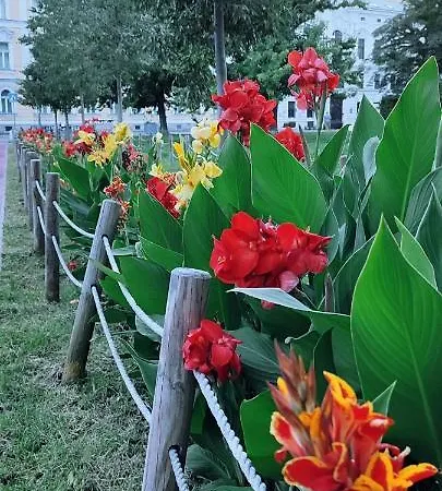 Danube Riverside With Quite Workplace Appartamento Bratislava