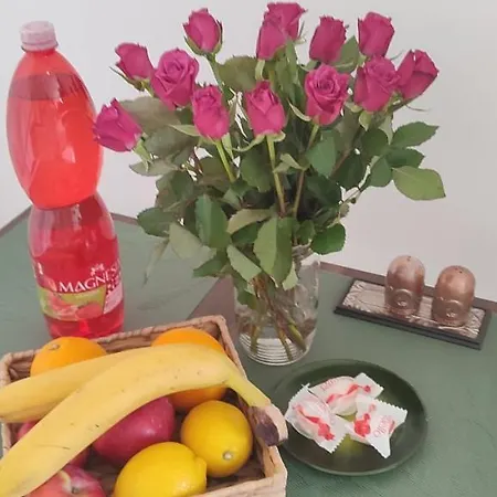 Appartamento Danube Riverside With Quite Workplace