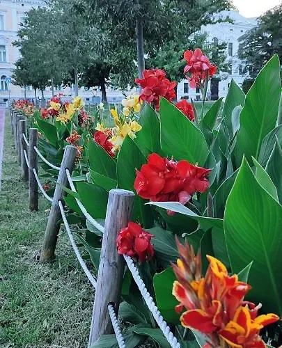 Danube Riverside With Quite Workplace Appartement Bratislava
